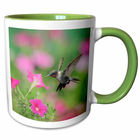 3drose, Ruby Throated Hummingbird Male at Petunia Flowers, Hill Country, Texas, 11oz Two-tone Green Mug