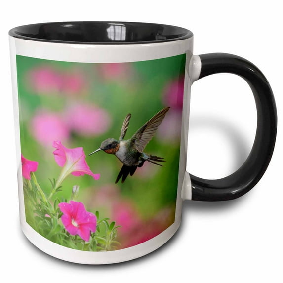3drose, Ruby Throated Hummingbird Male at Petunia Flowers, Hill Country, Texas, 15oz Two-tone Black Mug