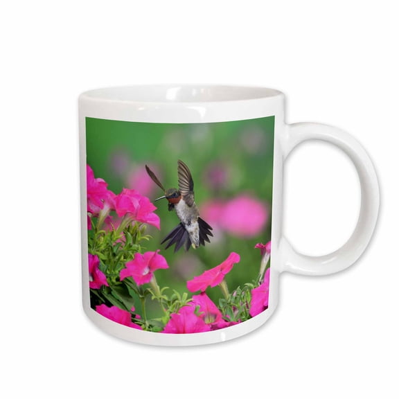 3drose, Ruby Throated Hummingbird Male in Flight Feeding, Hill Country, Texas, 15oz Mug