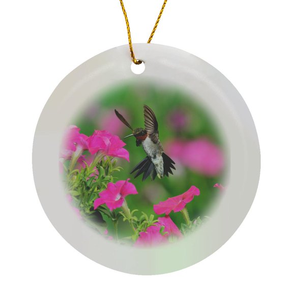 3drose, Ruby Throated Hummingbird Male in Flight Feeding, Hill Country, Texas, Circle Porcelain Ornament