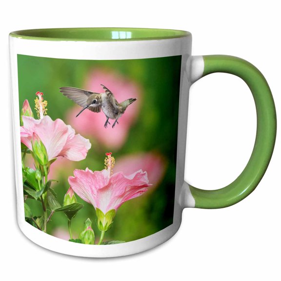 3drose, Ruby-throated Hummingbird Young Male Feeding on Hibiscus, Texas, Usa, 11oz Two-tone Green Mug