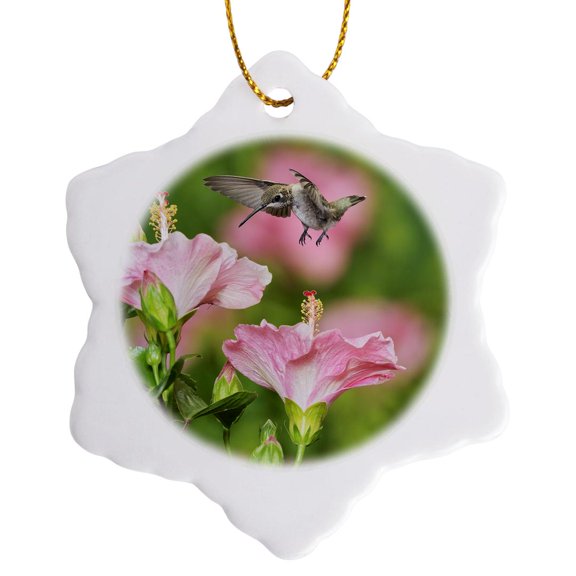 3drose, Ruby-throated Hummingbird Young Male Feeding on Hibiscus, Texas, Usa, 3 inch Snowflake Porcelain Ornament