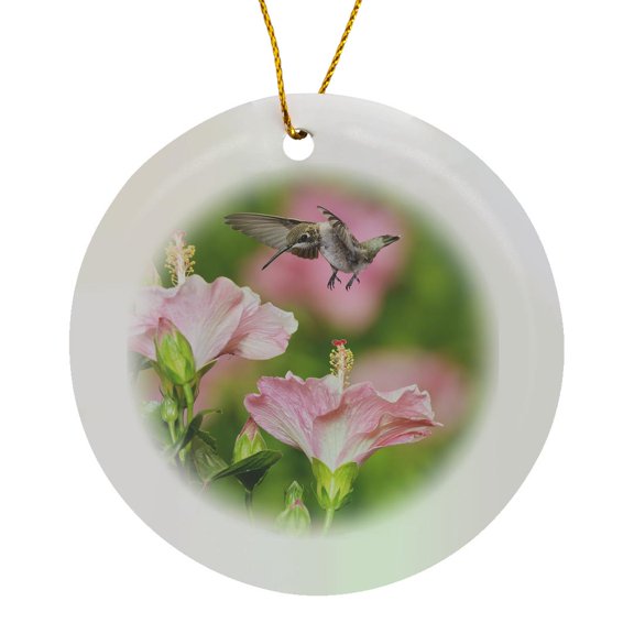 3drose, Ruby-throated Hummingbird Young Male Feeding on Hibiscus, Texas, Usa, Circle Porcelain Ornament