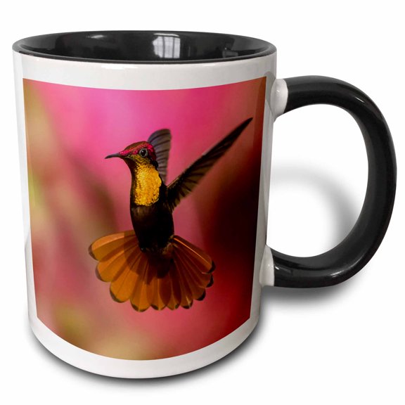3drose, Ruby Topaz Hummingbird, 15oz Two-tone Black Mug