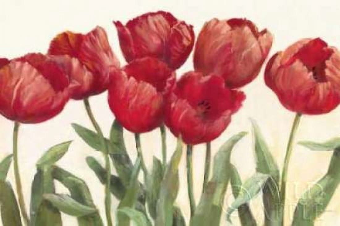 Ruby Tulips Wag Canvas Art - Carol Rowan (12 x 18)