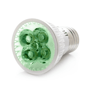 RubyLux All Green LED Bulb - Small - 2nd Generation 120V US & Canada