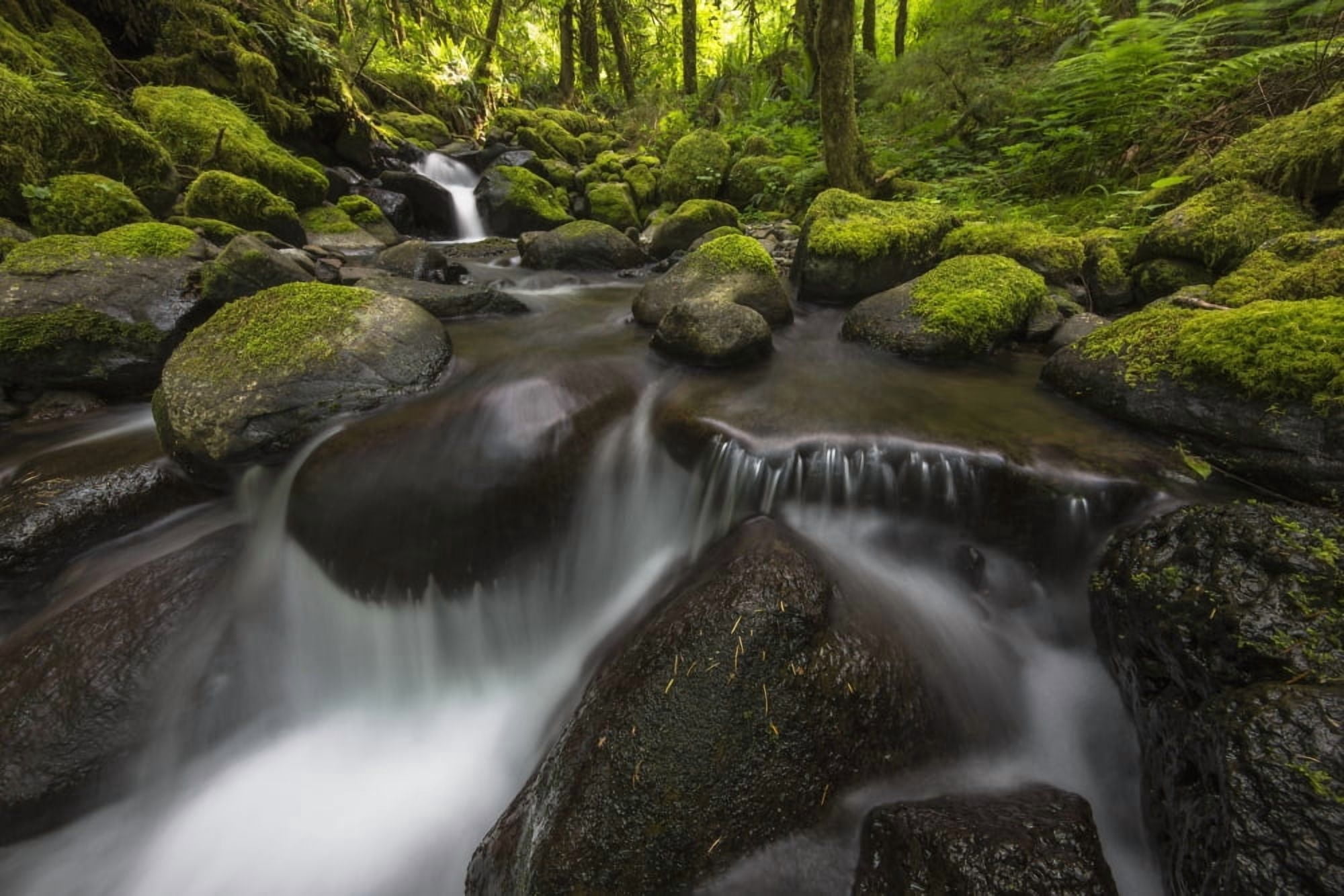 Ruckel Creek Oregon United States of America Canvas Art - Robert Postma Design Pics (19 x 12)
