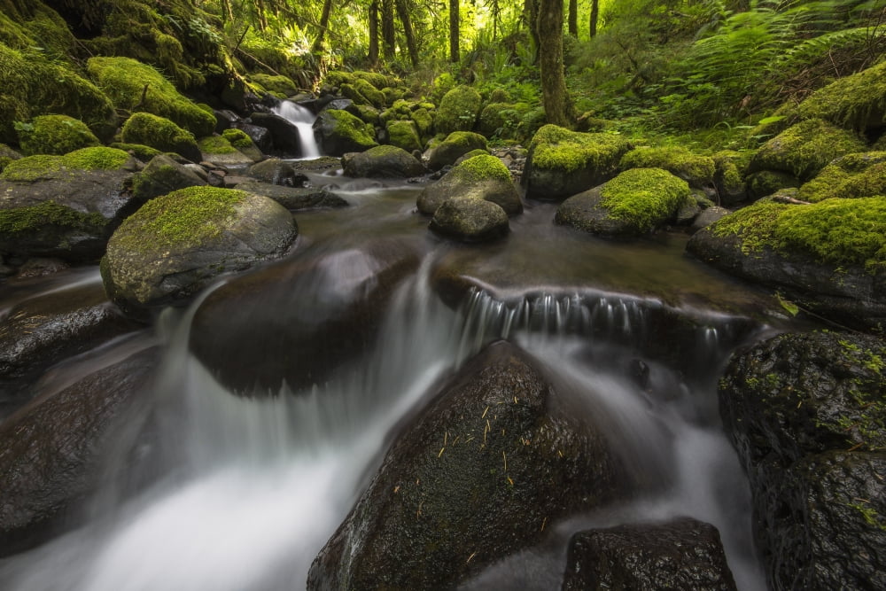 Ruckel Creek Oregon United States of America Canvas Art - Robert Postma Design Pics (38 x 24)