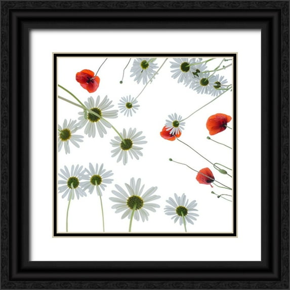 Ruckert, Stephan 20x20 Black Ornate Wood Framed with Double Matting Museum Art Print Titled - Meadow flowers