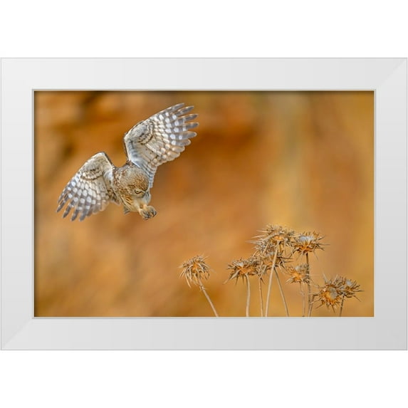 Rudaeff, Pablo 32x23 White Modern Wood Framed Museum Art Print Titled - Careful