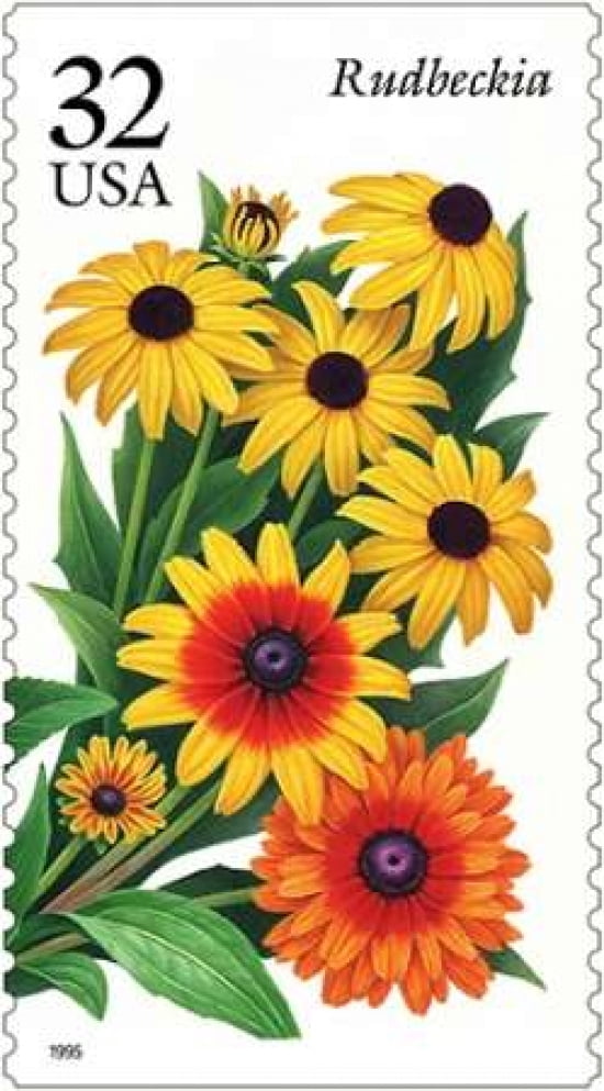 Rudbeckia Canvas Art - US POSTAL SERVICE (12 x 18)