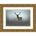 thumbnail image 1 of Rudchenko, Olga 24x17 Gold Ornate Wood Framed with Double Matting Museum Art Print Titled - Ephemerality, 1 of 4