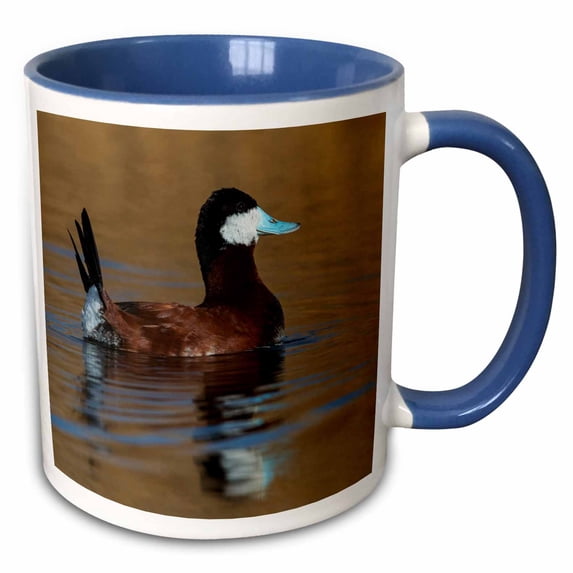 3drose, Ruddy Duck Drake, 11oz Two-tone Blue Mug
