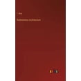 thumbnail image 1 of Rudimentary Architecture (Hardcover), 1 of 1