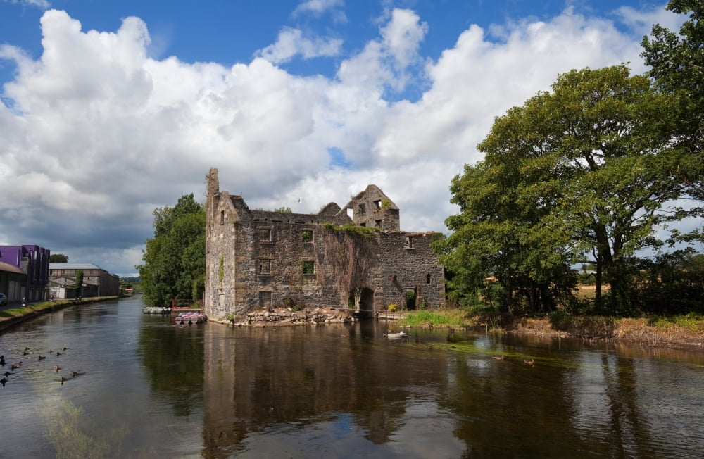 Rudkins Mill on the River Barrow Muine Bheag County Carlow Ireland Canvas Art - Panoramic Images (18 x 12)