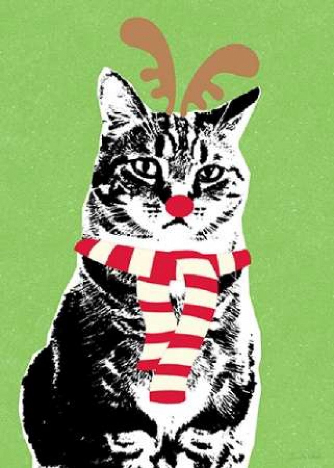 Rudolph Cat Canvas Art - Linda Woods (20 x 28)
