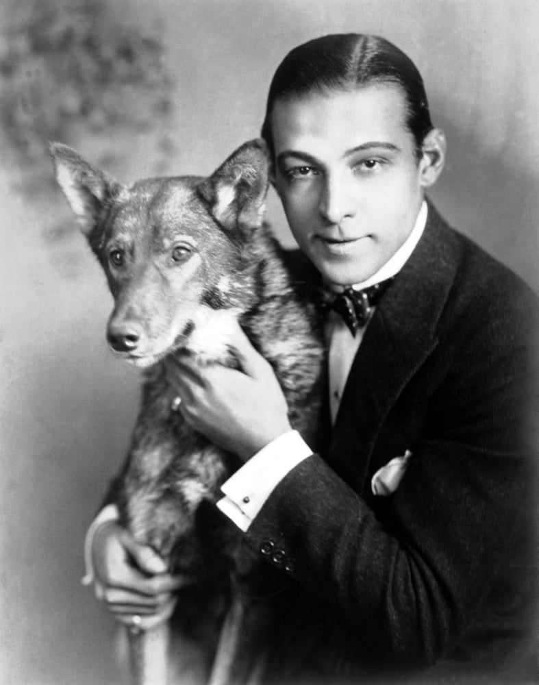 Rudolph Valentino Canvas Art - (16 x 20)