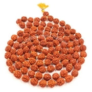 Rudraksha Mala Certified/Natural Rudraksh Mala/Original Rudraksha mala Certificate/Rudraksha Mala for jaap/ 10mm Rudraksha Rosary Size 10mm, Beads 108+1