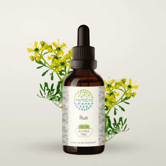 HerbEra Rue Tincture, Herbal Dietary Supplement for Lactation Support, Rue (Ruta graveolens) Dried Herb Extract, Natural, Alcohol-Free, Drops 2 oz