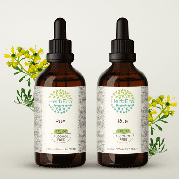 HerbEra Rue Tincture, Herbal Dietary Supplement for Lactation Support, Rue (Ruta graveolens) Dried Herb Extract, Natural, Alcohol-Free, Drops 2x4 oz