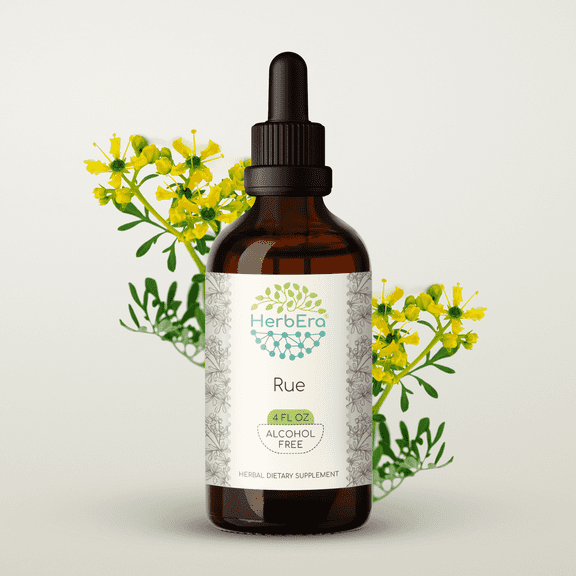 HerbEra Rue Tincture, Herbal Dietary Supplement for Lactation Support, Rue (Ruta graveolens) Dried Herb Extract, Natural, Alcohol-Free, Drops 4 oz