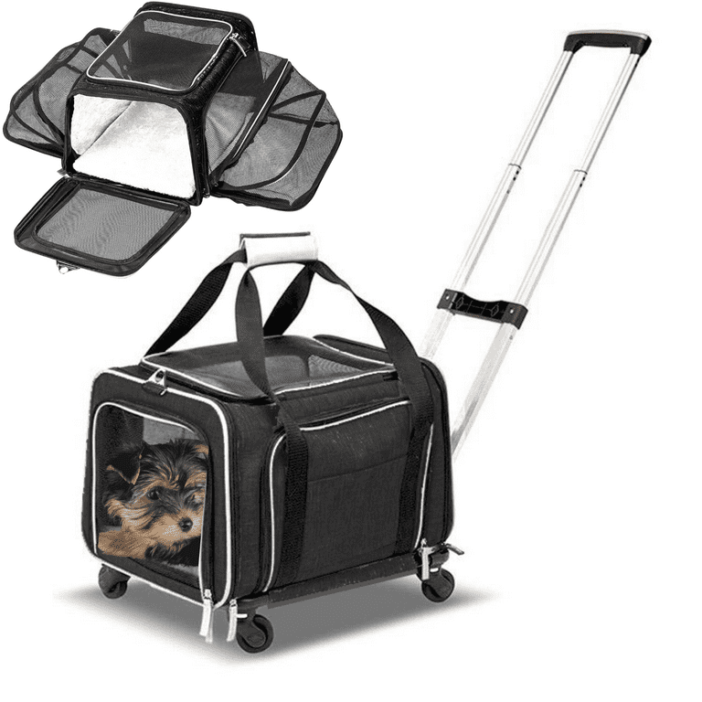 7 Of The Best Airline-Approved Dog Carriers For In-Cabin Flights