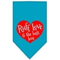 thumbnail image 1 of Ruff Love Screen Print Bandana Turquoise Small, 1 of 2