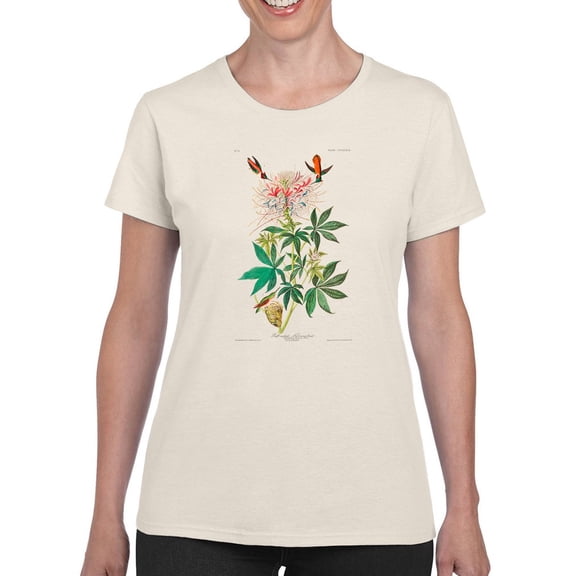 Ruff-Necked Hummingbird T-Shirt Women -John James Audubon Designs, Female XX-Large