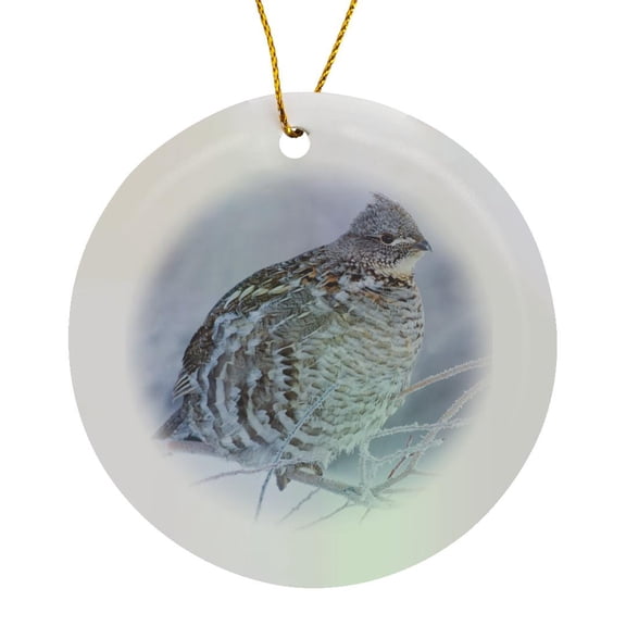 3drose, Ruffed Grouse in Cold Winter Weather., Circle Porcelain Ornament