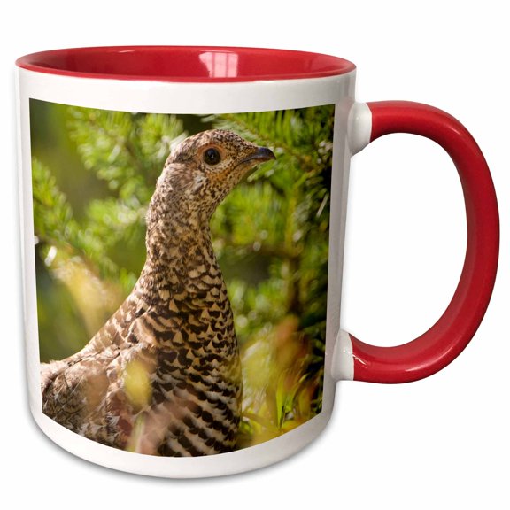 3drose, Ruffed Grouse, Manning Park, British Columbia-cn02 Pcl0130 - Paul Colangelo, 11oz Two-tone Red Mug