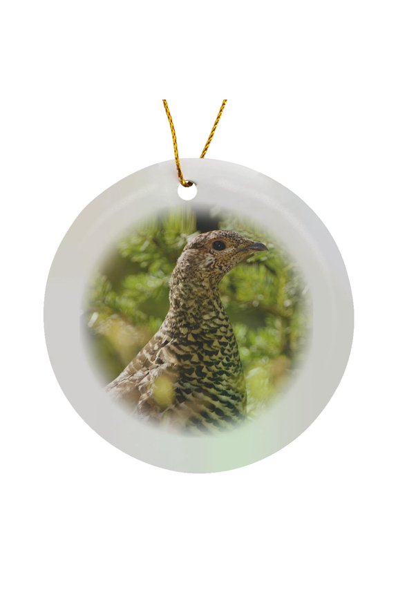 , Ruffed Grouse, Manning Park, British Columbia-cn02 Pcl0130 - Paul Colangelo, Circle Porcelain Ornament