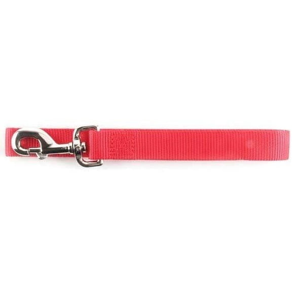 Ruffin' It Nylon Dog Leash Standard - Snap Fastener - 1" x 6', Assorted Colors