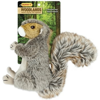Ruffin' It Woodlands Squirrel Stuffed Plush Dog Toy, Large