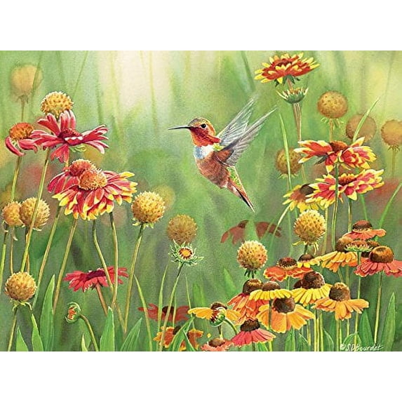Rufous Hummingbird, 500 Pc Jigsaw Puzzle by Cobble Hill