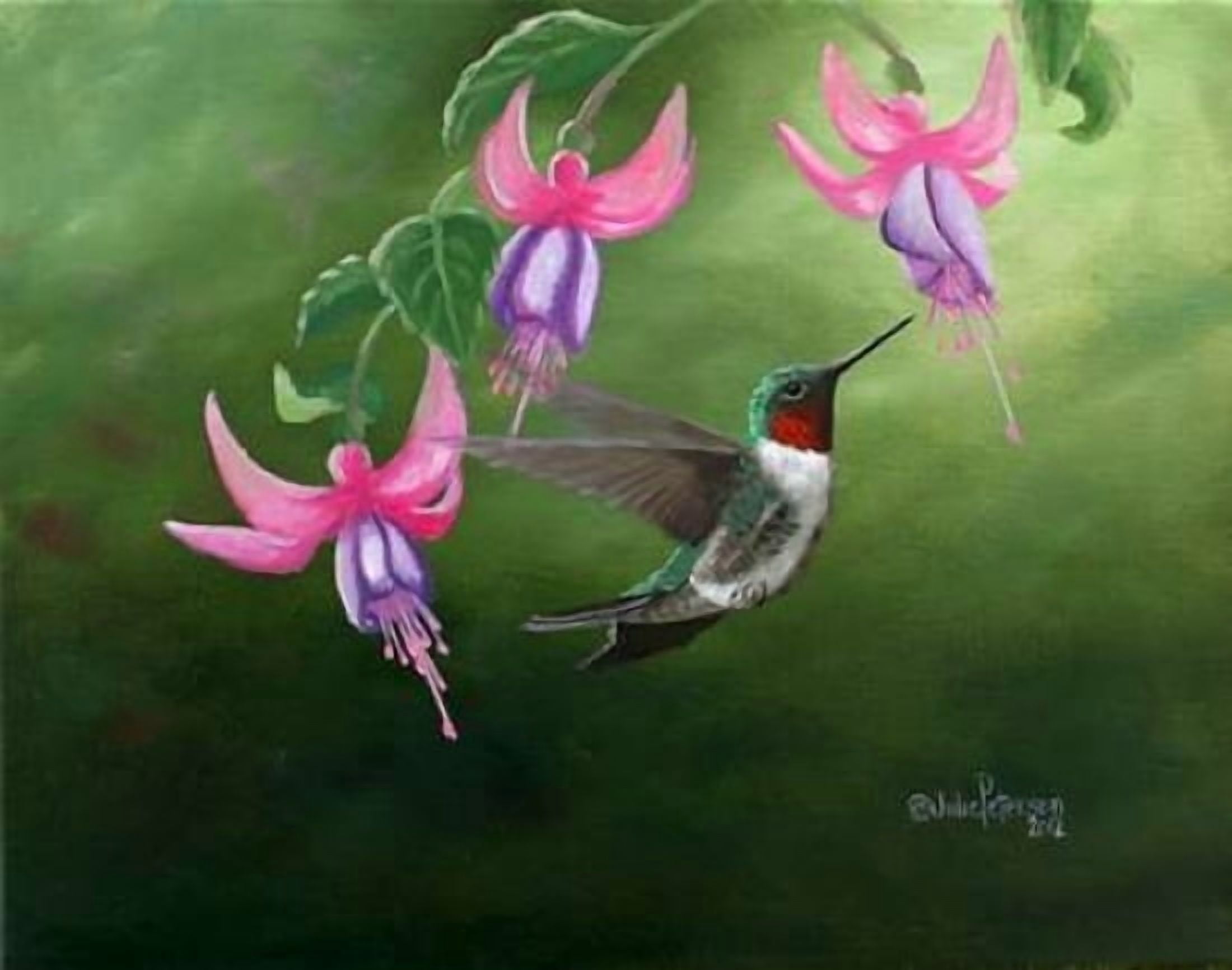 Rufous and Fuchsias Canvas Art - Julie Peterson (22 x 28)