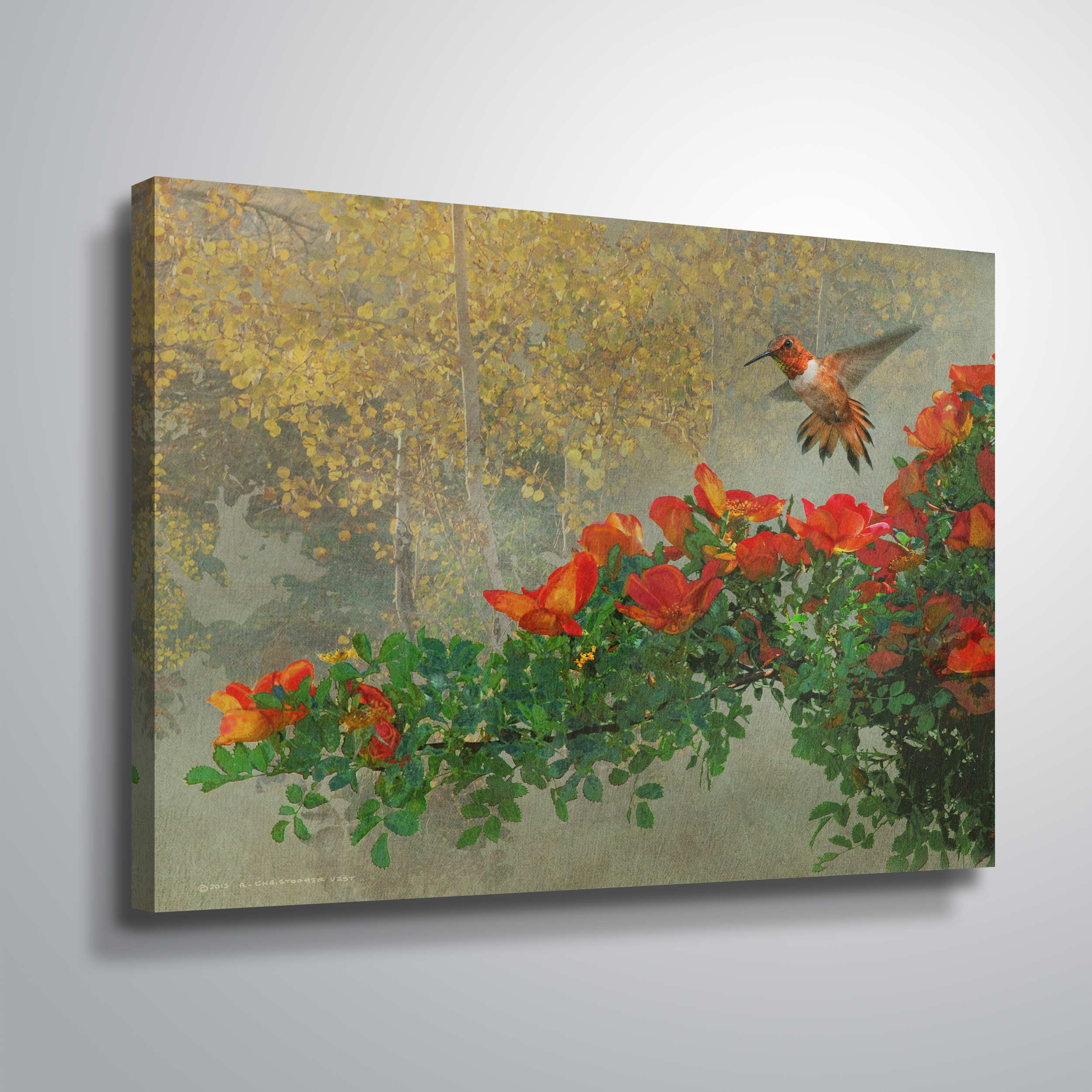 Rufous and Roses
