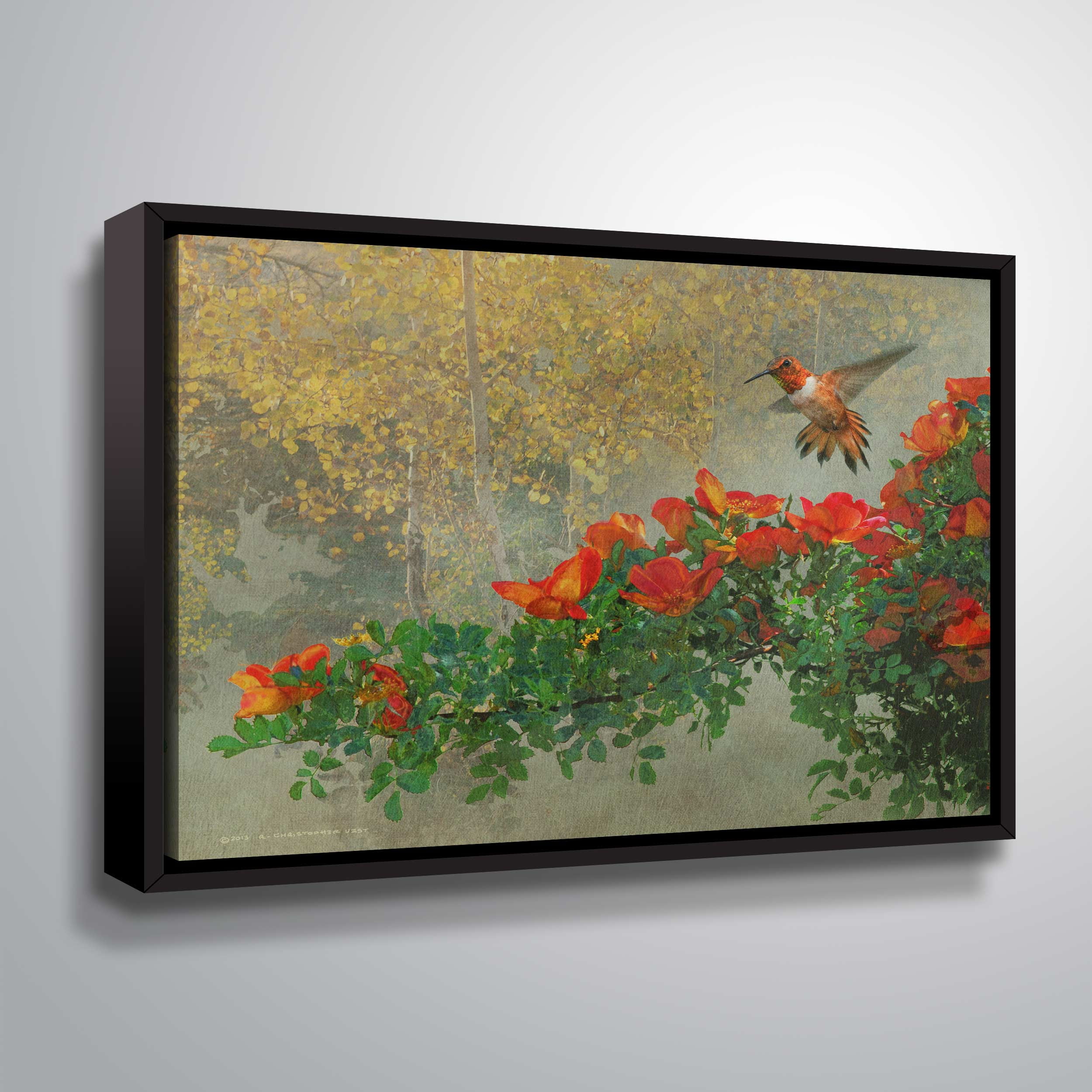 Rufous and Roses