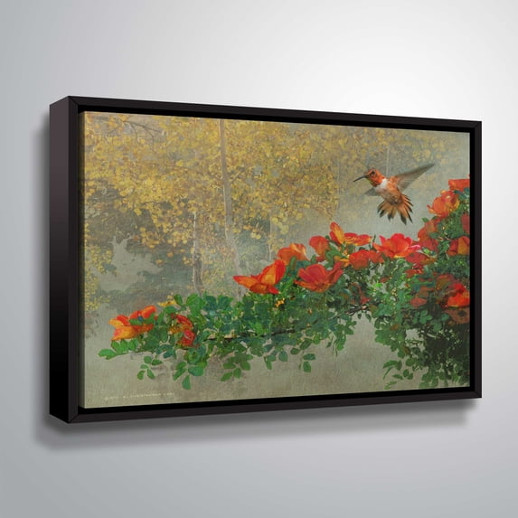 Rufous and Roses