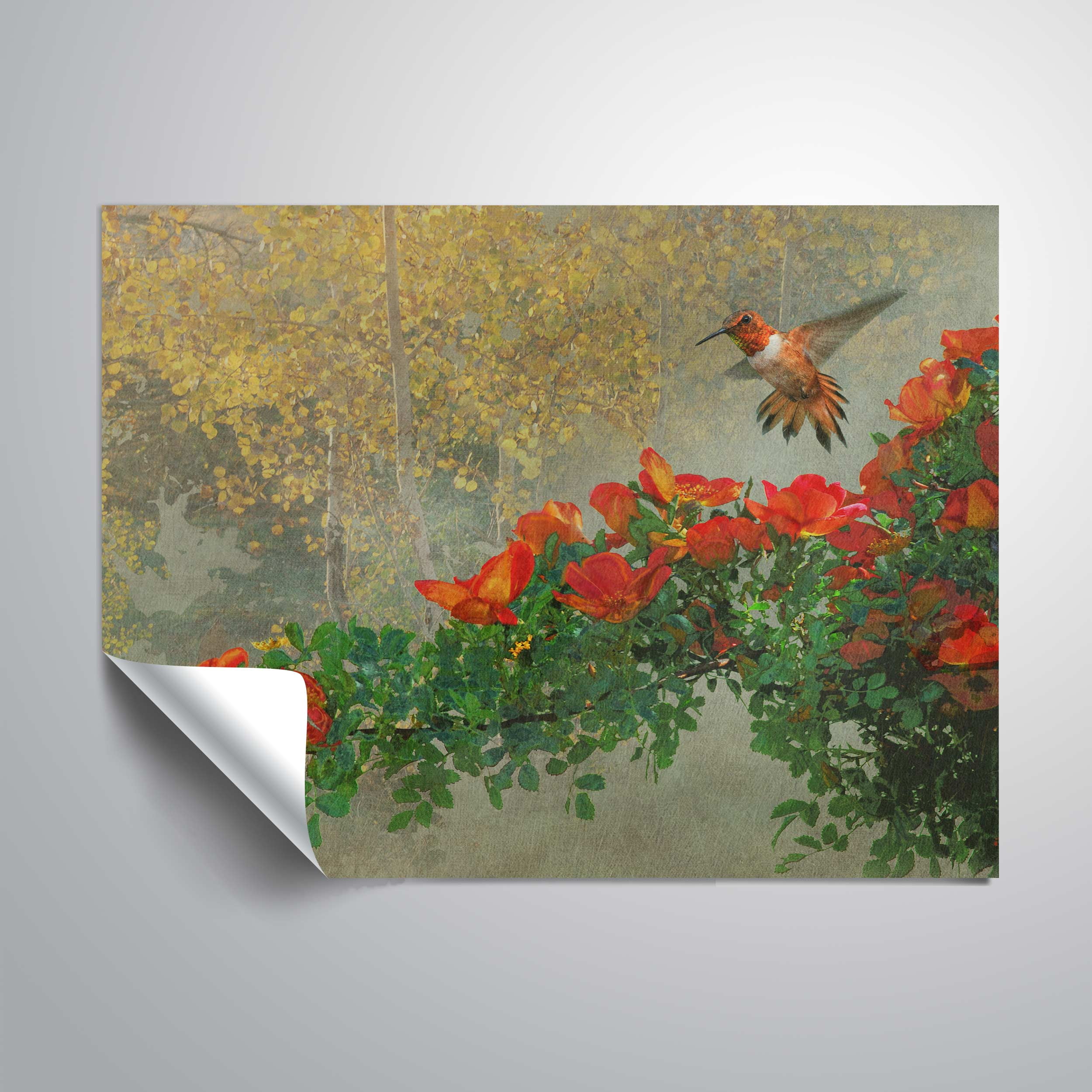 Rufous and Roses
