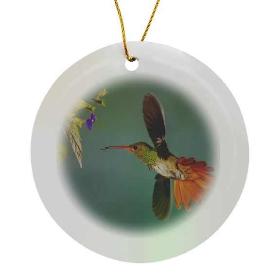 3drose, Rufus-tailed Hummingbird, Circle Porcelain Ornament