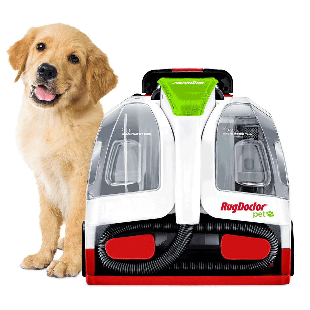 Rug Doctor Pet Portable Spot Cleaner, 2X Suction Power & Rug