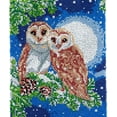 thumbnail image 1 of Rug Making Latch Hooking Kit | Moon Owls (5 sizes available), 1 of 9