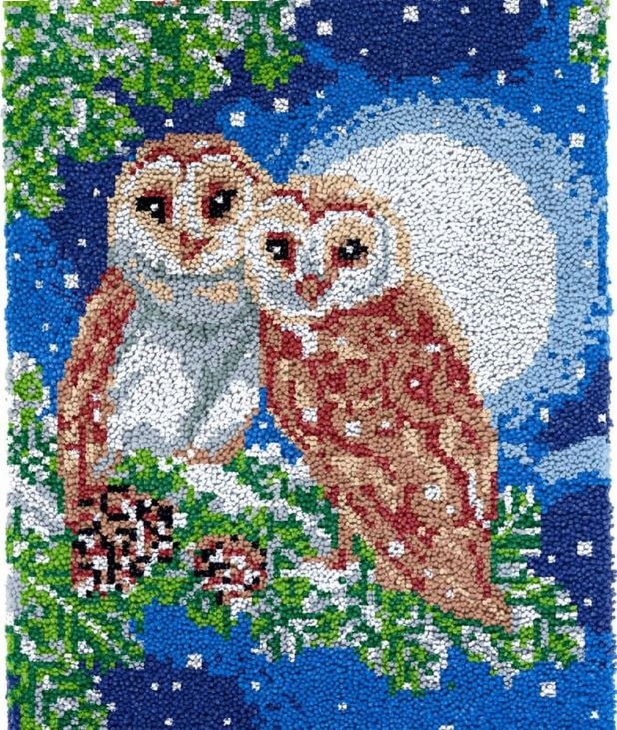 Moon Owls Rug Making Latch Hooking Kit with Preprinted Canvas for ...