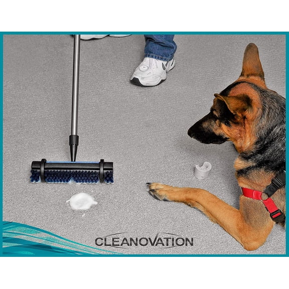 Rug Renovator/Carpet Cleaning Brush