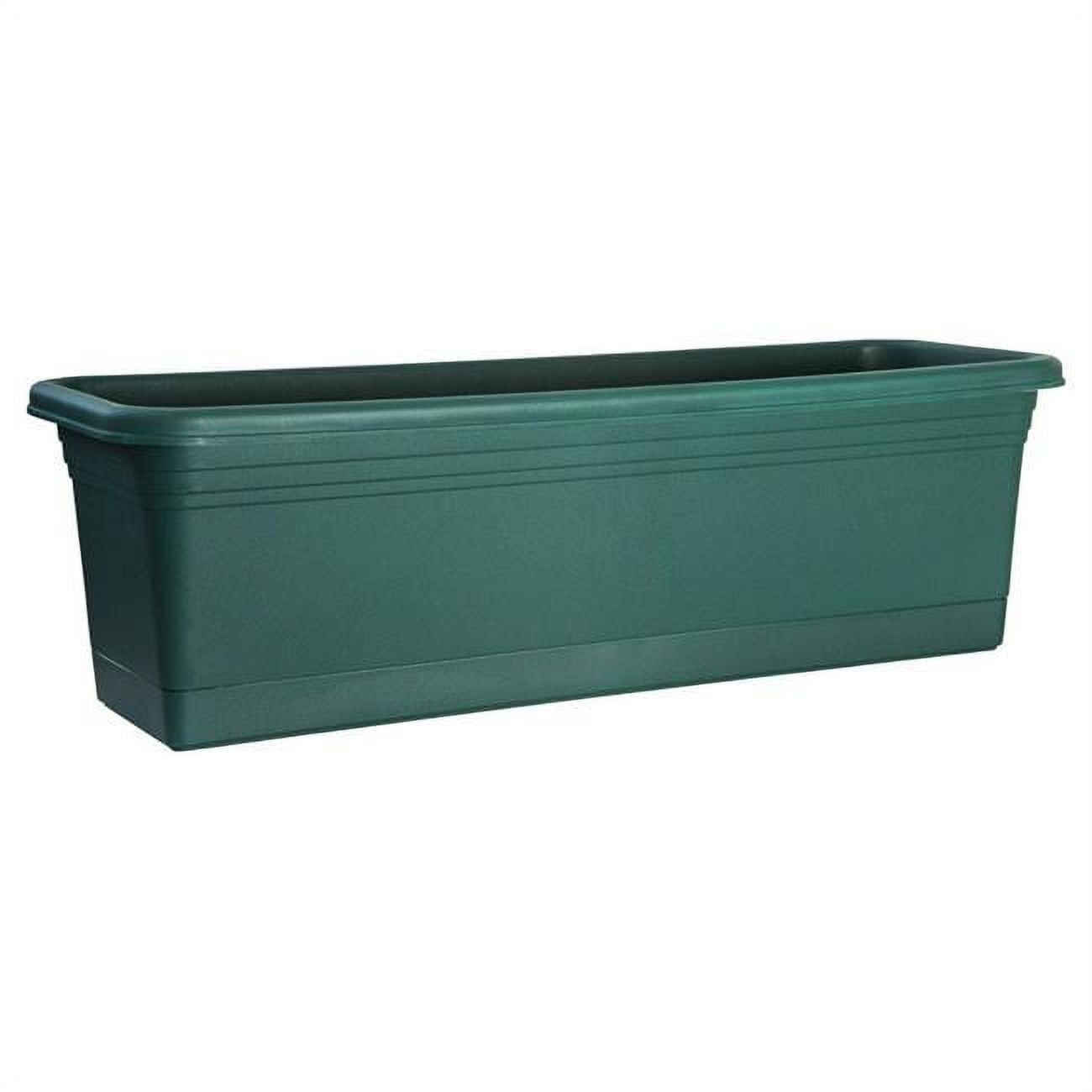 Rugg 11 in. H X 11 in. W Polyresin Window Box Green