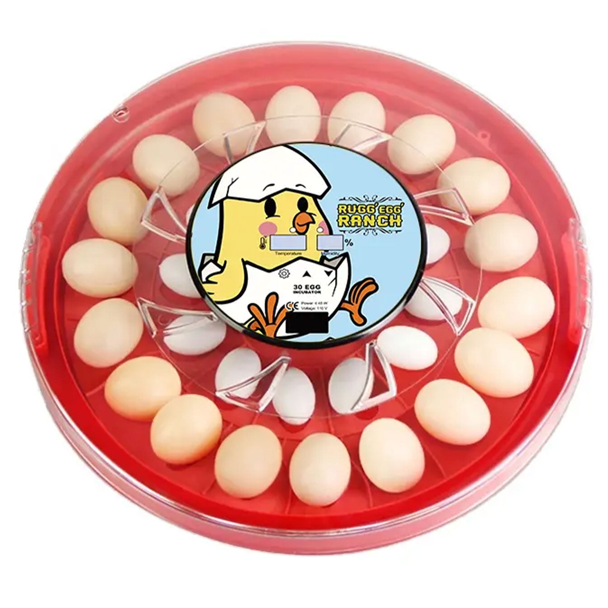 Rugg'EGG' Ranch 30 Egg Red Clear Top Incubator