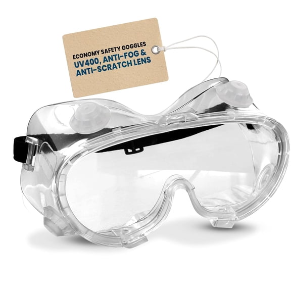 Rugged Blue Economy Goggles