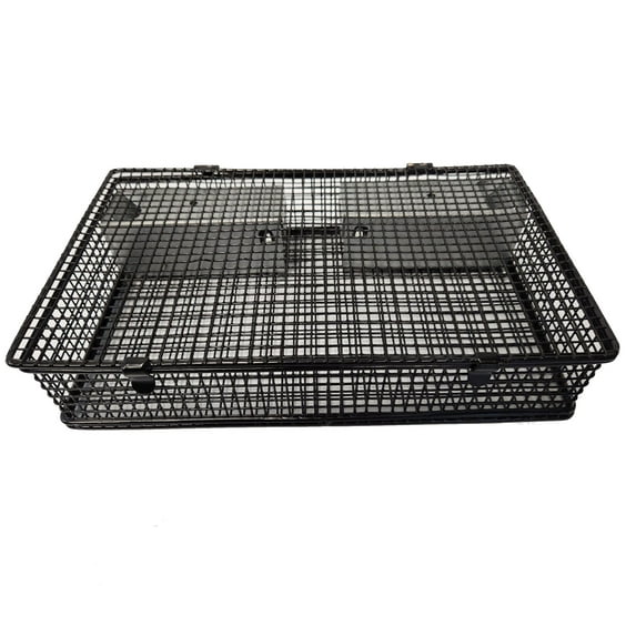 Rugged Ranch Products Mousinator Metal Wire Mouse Trap for Pest Control