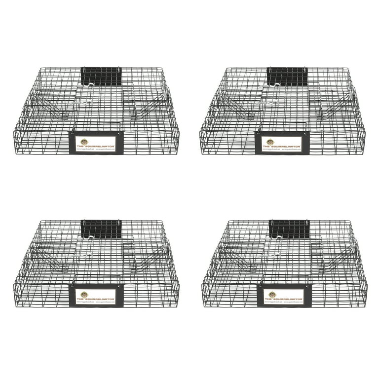 https://i5.walmartimages.com/seo/Rugged-Ranch-Squirrelinator-Squirrel-Chipmunk-Metal-2-Door-Trap-Cage-4-Pack_3378048f-5510-435e-8c2b-bcea2b117de8.ec46424f6fc437c39e48a034da9498d0.jpeg?odnHeight=768&odnWidth=768&odnBg=FFFFFF