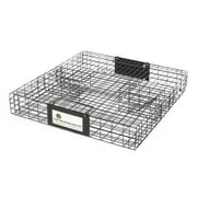 Rugged Ranch The Squirrelinator Live Squirrel Trap with Basin